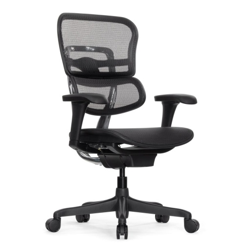 Ортопедическое кресло Falto Ergohuman 2 Project Ортопедическое кресло Falto Ergohuman 2 Project